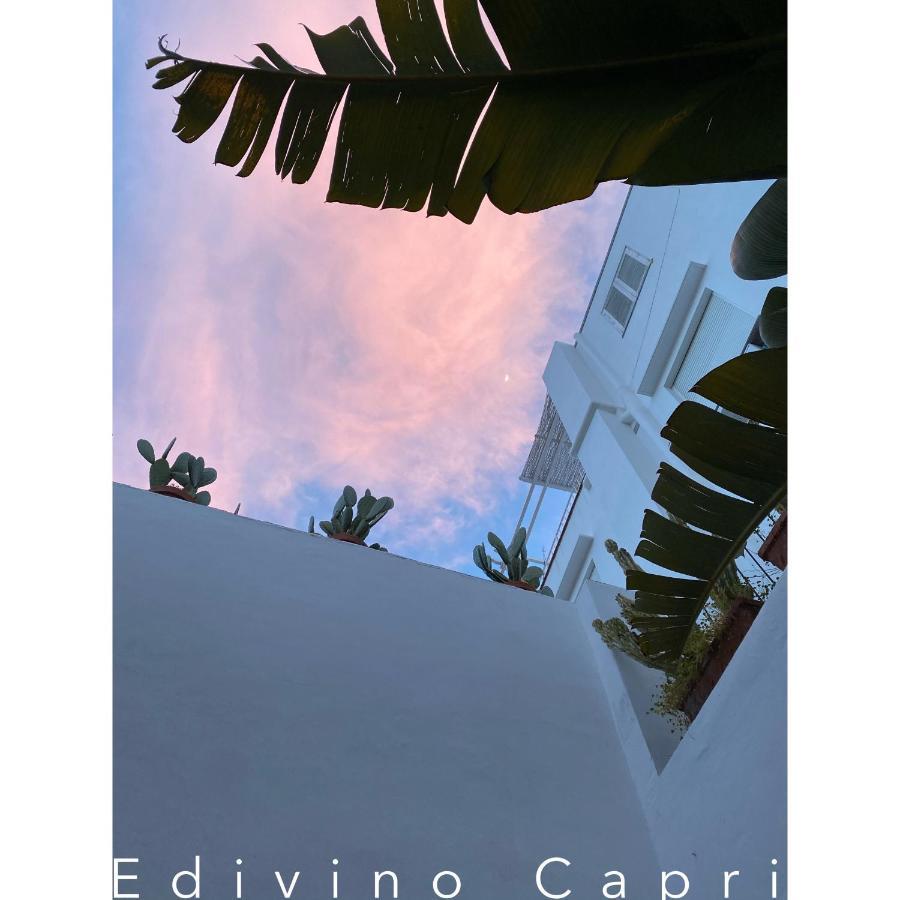 Edivino Design Frühstückspension Capri